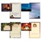 Extra Large Boxed Christmas Card Assortment - Christmas Wonders NIV- 48 Cards and Envelopes